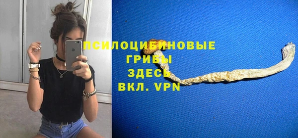 mix Бородино