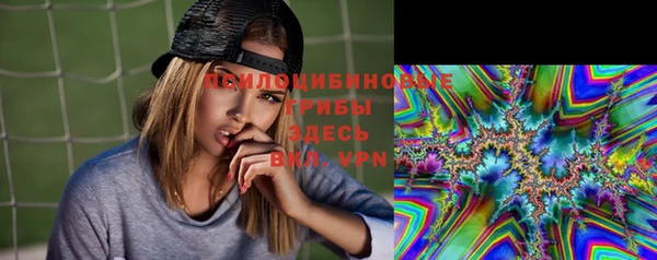 mix Бородино